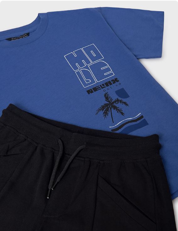 Conjunto bermuda y camiseta palmera chicos