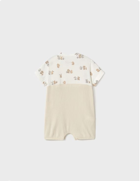 ENTERITO PETO SIMULADO RN