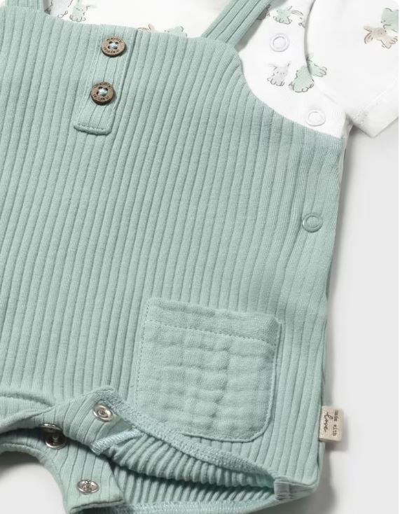 ENTERITO PETO SIMULADO RN