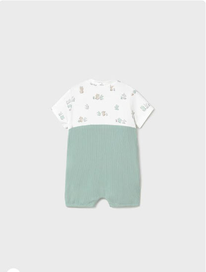 ENTERITO PETO SIMULADO RN