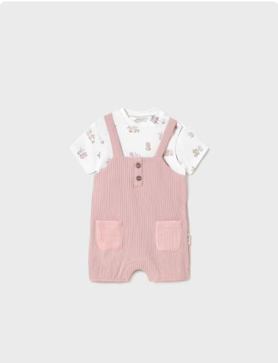 ENTERITO PETO SIMULADO RN