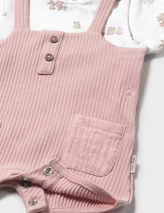 ENTERITO PETO SIMULADO RN