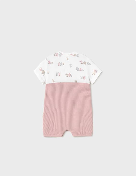 ENTERITO PETO SIMULADO RN