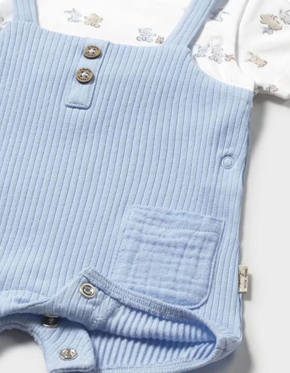 ENTERITO PETO SIMULADO RN